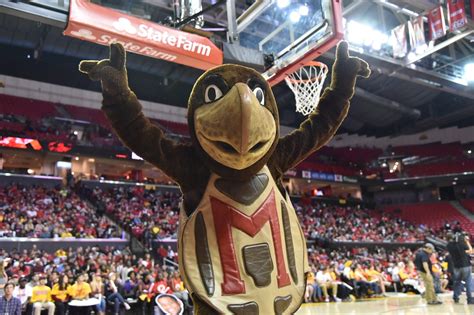 terps basketball